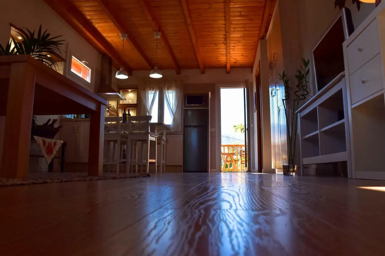 度假居 Chalet Las Vinas 2 伊科德·德·洛斯·维诺斯