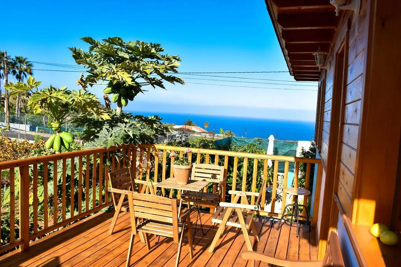 度假居 Chalet Las Vinas 2 伊科德·德·洛斯·维诺斯 西班牙
